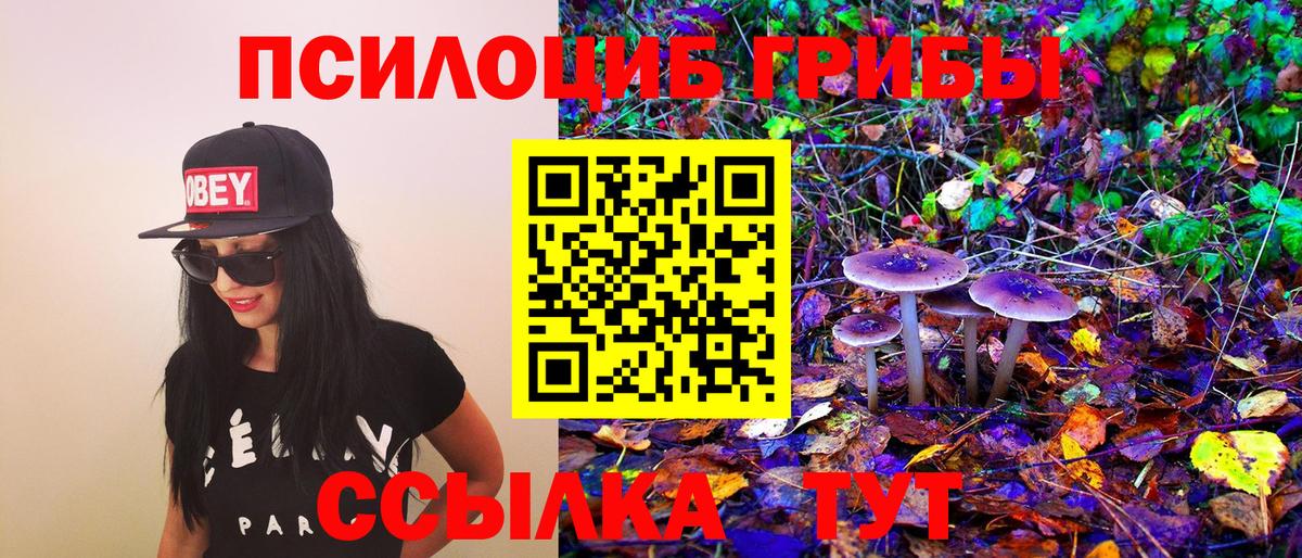 купить наркотик  Вход с VPN  Усолье-Сибирское  Псилоцибиновые грибы MAGIC MUSHROOMS 